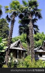 bamboo house in the park Anduze bamboo where almost all species are represented and promoted in an Asian garden