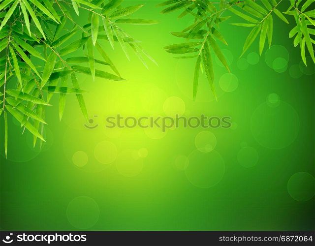 bamboo leaf with abstract green bokeh