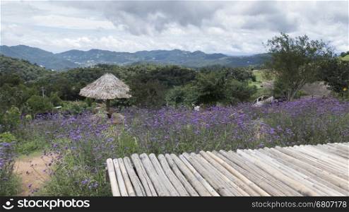 bamboo seat, verbena flower with mountain view