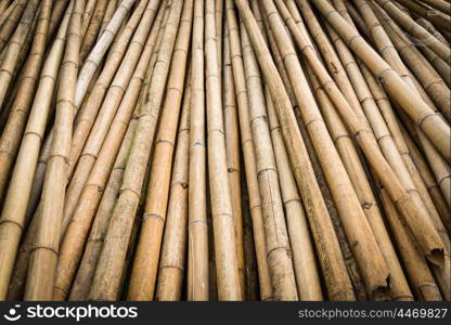 bamboo texture background