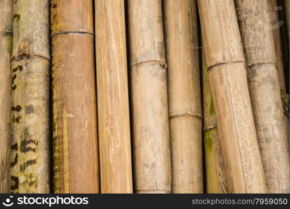 bamboo texture background