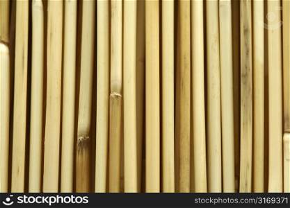 Bamboo vertical pattern, suitable for background