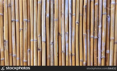 Bamboo wall or Bamboo fence texture background.