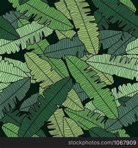 Banana leaf seamless pattern. Abstract exotic plant wallpaper. Tropical pattern, palm leaves seamless vector floral background.. Banana leaf seamless pattern. Abstract exotic plant wallpaper.