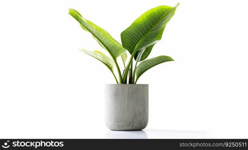 Banana plant in flowerpot. Illustration Generative AI 