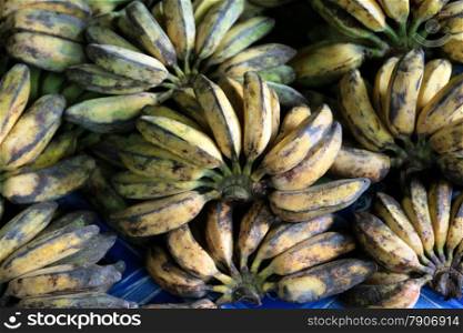 Bananas at the market in the city of Bandar seri Begawan in the country of Brunei Darussalam on Borneo in Southeastasia.. ASIA BRUNEI DARUSSALAM