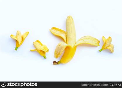Bananas of different sizes on white background. Sexual and size penis concept