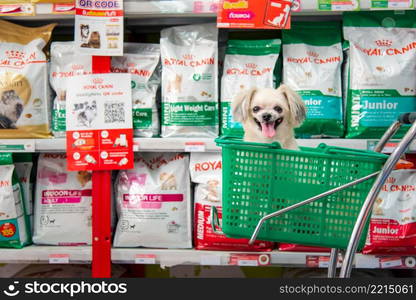 Bangkok, Thailand - April 8, 2017 : Dog so cute wait a pet owner shopping by selecting a variety accessories or pet food from pet goods shelf in petshop for her dog open daily for service everyday.. Many types of pet food and products in pet shop