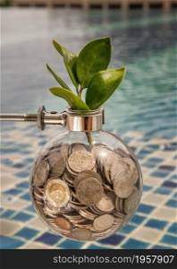 Bangkok, Thailand - Jun 26, 2020 : The saplings that grow on the pile of coins In a glass bottle on pool background Symbol for business growth. Investment concept for growth and saving money. Space for text input, Selective focus.