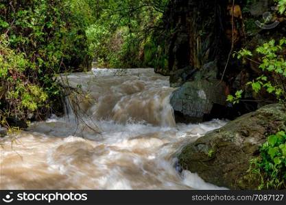 Banias river at north of Israel, flowing over rocks. the Banias Nature Reserve in northern Israel