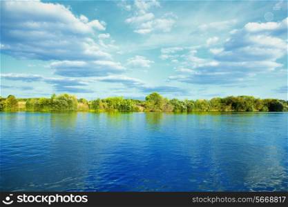 bank of river with green trees on summer day
