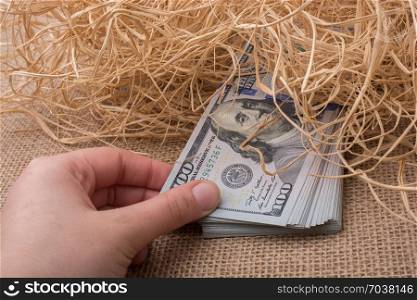 Banknote bundle of US dollar in a straw pile on canvas