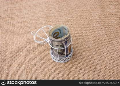 Banknote bundle of US dollar placed in a birds cage