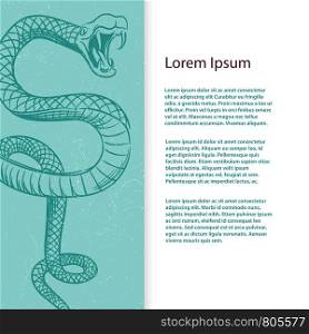 Banner or flyer template with sketch snake and grunge elements. Vector illustration. Banner with sketch snake