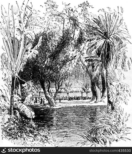 Banquet in the Botanical Garden of Saint-Pierre (Martinique), vintage engraved illustration. Journal des Voyages, Travel Journal, (1879-80).