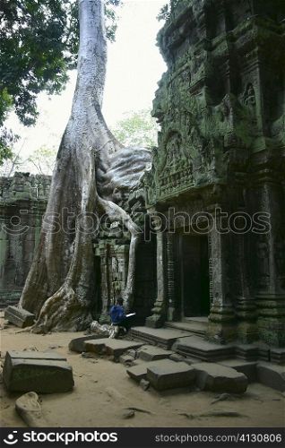 Banyan tree roots growing over a temple, Angkor Wat, Siem Reap, Cambodia