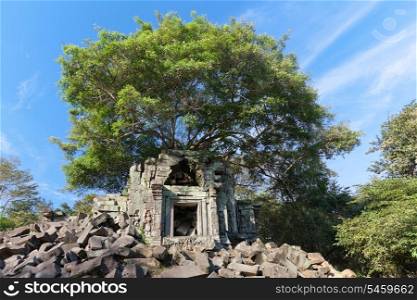 Banyan trees on ruins in Beng Mealea temple, Cambodia&#xA;
