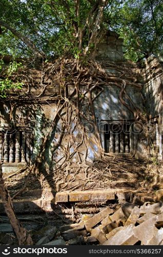 Banyan trees on the wall and window in Beng Mealea temple, Cambodia&#xA;