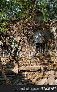 Banyan trees on the wall and window in Beng Mealea temple, Cambodia&#xA;