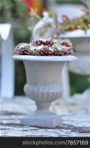 bar terrace outdoor belle epoque flower vase