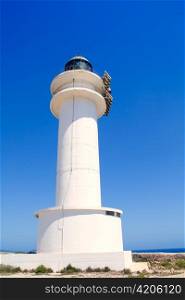 Barbaria cape lighthouse in Formentera perspective