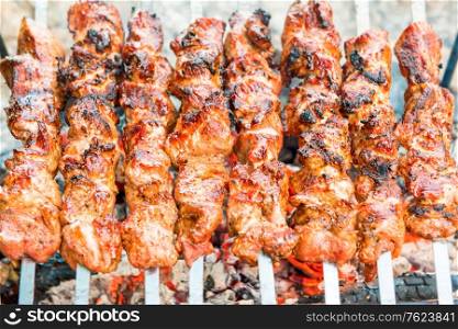 Barbecue with grilled kebab meat on fire