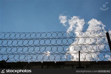 barbed fence for protection purposes . barbed wire fence used for protection purposes