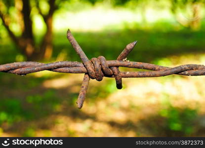 Barbed wire