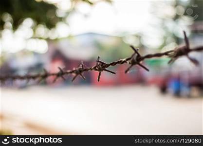 Barbed wire against green background