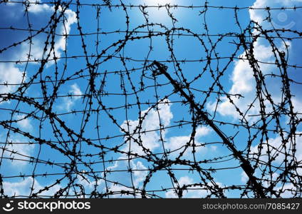 Barbed wire and freedom. Conseptual design.