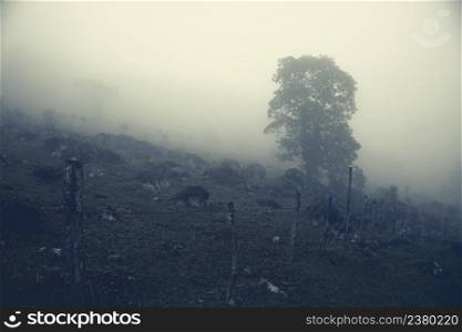 Barbed wire fence along the rocky hill in milky mist. Aquismon, Huasteca Potosina, Mexico