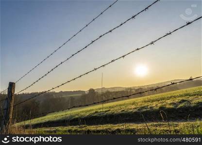 Barbed wire fence from a german ranch and the green grass fields on a sunny day of spring at sunrise.