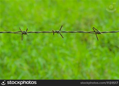 Barbed wire fence of green yard
