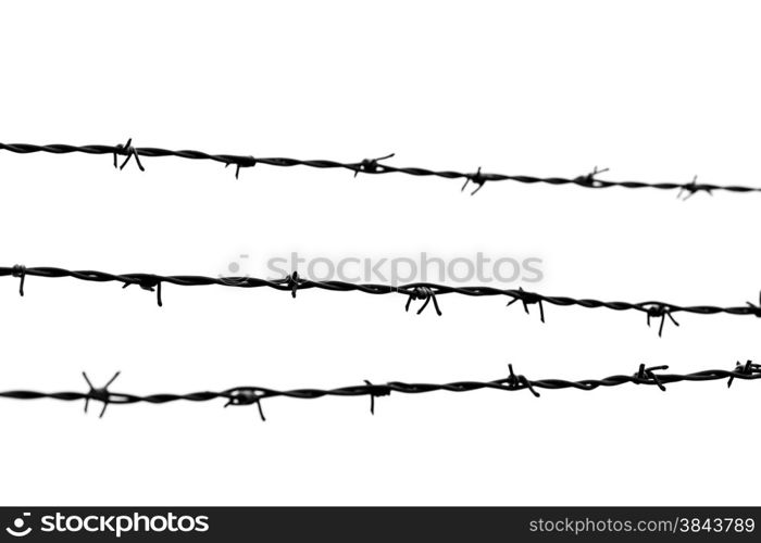 barbed wire isolated