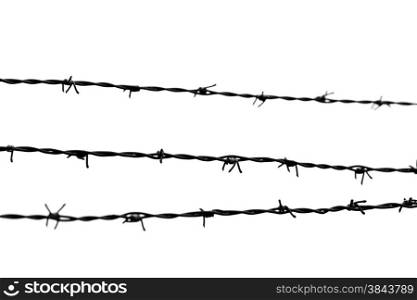 barbed wire isolated