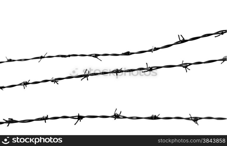 barbed wire isolated