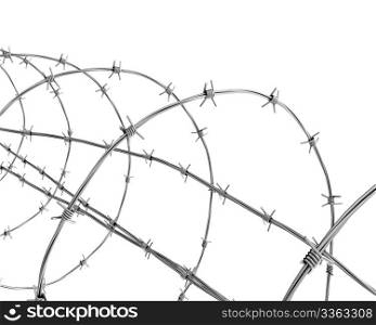 Barbed wire isolated on white closeup