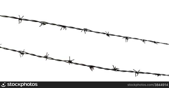 Barbed Wire on a white background
