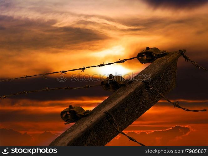 Barbed wire on sunset sky background.