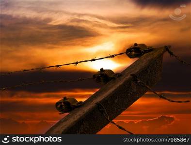 Barbed wire on sunset sky background.
