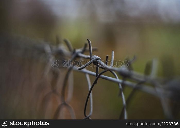 barbed wire on the fence