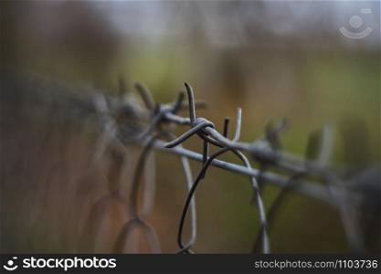 barbed wire on the fence