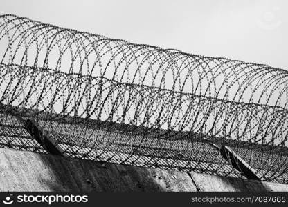 Barbed wire rolls on the wall edge of a prison in Germany, black-and-white
