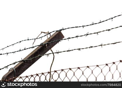 barbed wires on white background. The concept of the refugees