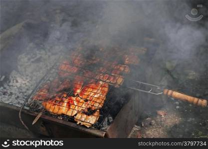 Barbeque fried on the bonfire and coals