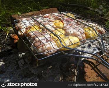 Barbeque on the bonfire