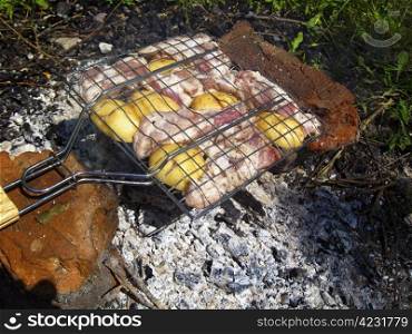 Barbeque on the bonfire