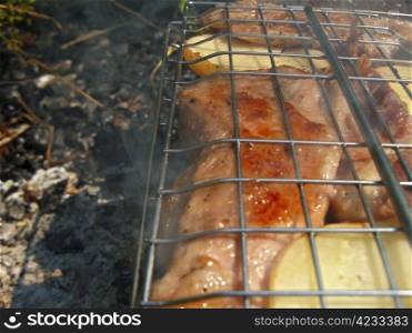Barbeque prepare on the bonfire. Outdoor resting