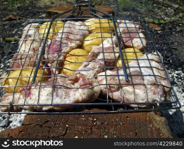 Barbeque roast