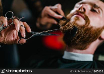 Barbershop, young man having a beard trimming